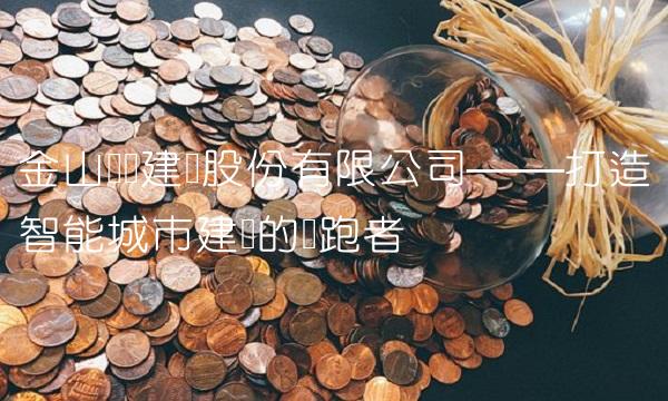 金山开发建设股份有限公司——打造智能城市建设的领跑者