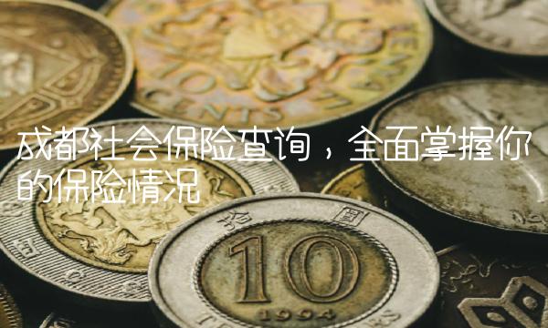 成都社会保险查询，全面掌握你的保险情况