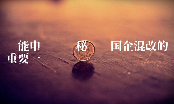 华能申购——揭秘实现国企混改的重要一步