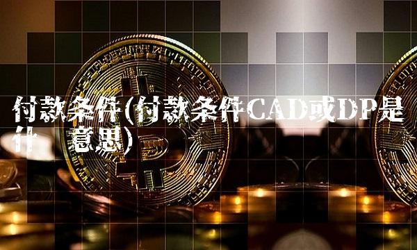 付款条件(付款条件CAD或DP是什么意思)