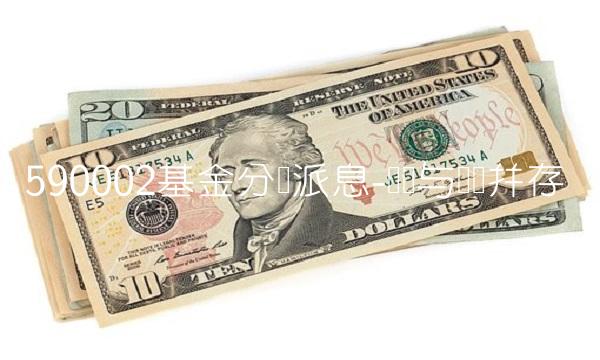 590002基金分红派息-赚钱与风险并存