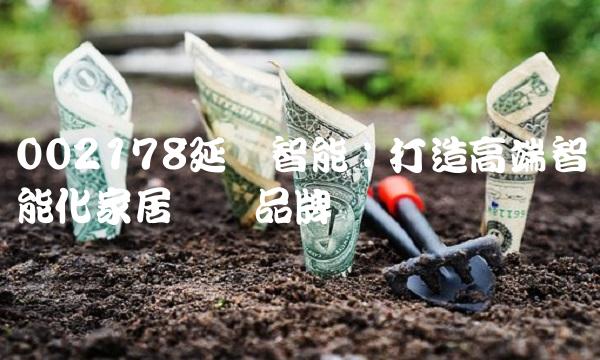 002178延华智能：打造高端智能化家居领导品牌