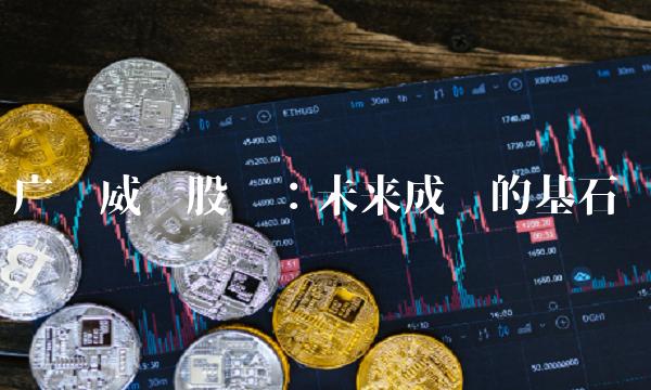 广东威华股份：未来成长的基石