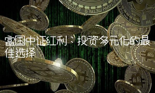 富国中证红利：投资多元化的最佳选择