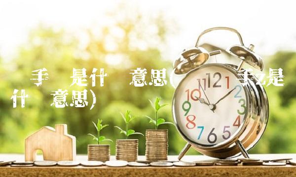换手实是什么意思(开盘换手z是什么意思)