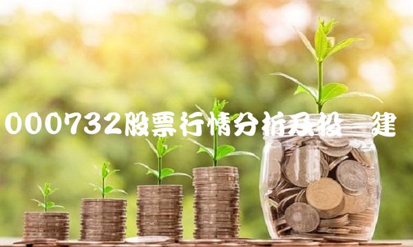 000732股票行情分析及投资建议