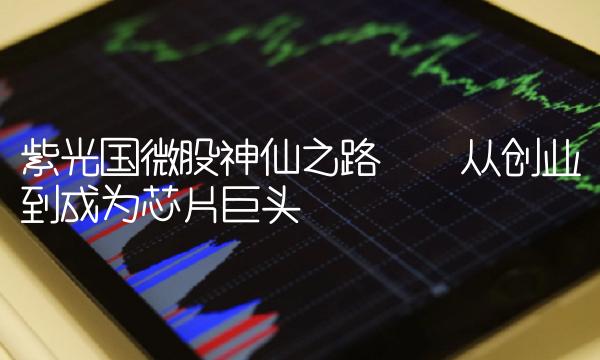紫光国微股神仙之路——从创业到成为芯片巨头