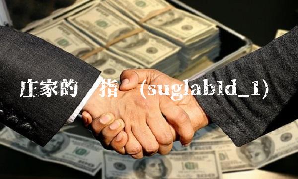 庄家的总指挥(suglabId_1)(1)