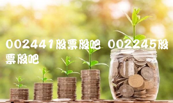 002441股票股吧 002245股票股吧