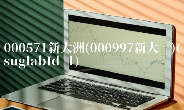 000571新大洲(000997新大陆)(suglabId_1)
