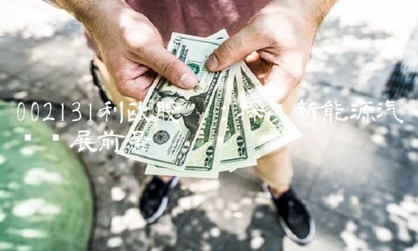 002131利欧股份：探讨新能源汽车发展前景