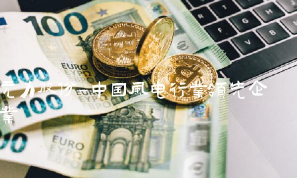 元力股份-中国风电行业领先企业