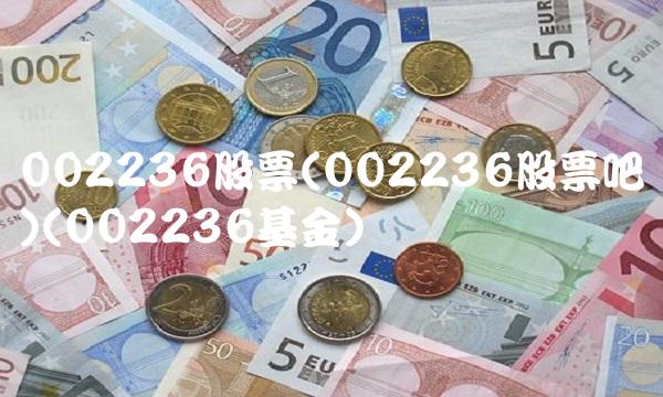 002236股票(002236股票吧)(002236基金)
