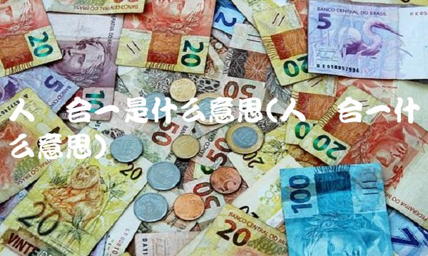 人单合一是什么意思(人机合一什么意思)