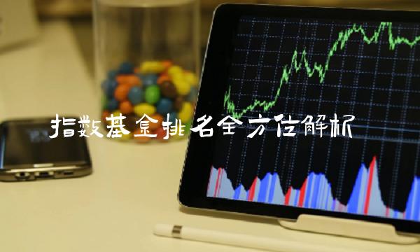 指数基金排名全方位解析