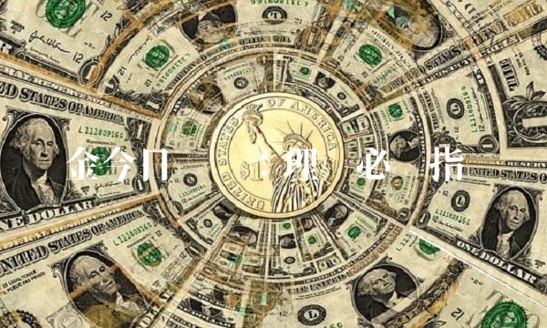 金今日净值：理财必备指标