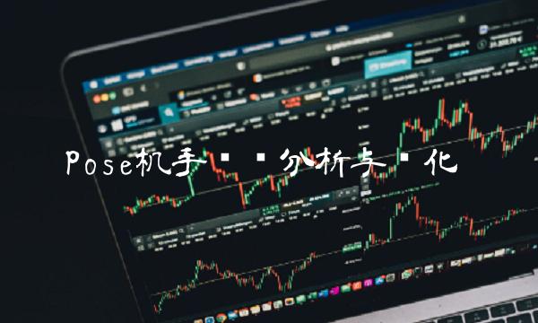 Pose机手续费分析与优化