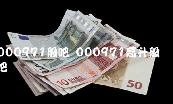 000971股吧 000971高升股吧