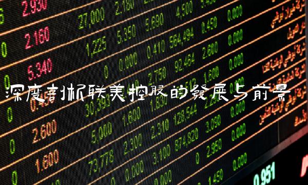 深度剖析联美控股的发展与前景