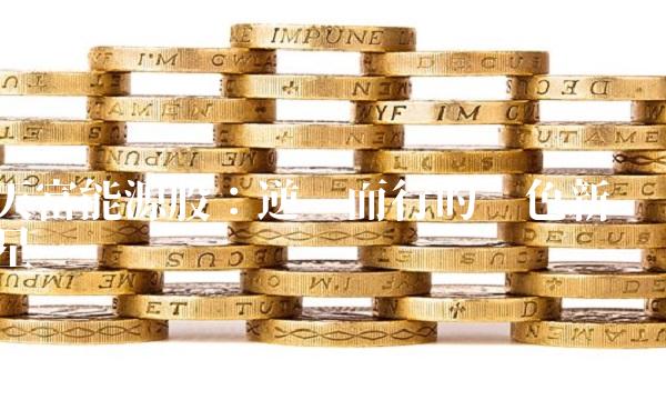 天富能源股：逆势而行的绿色新星