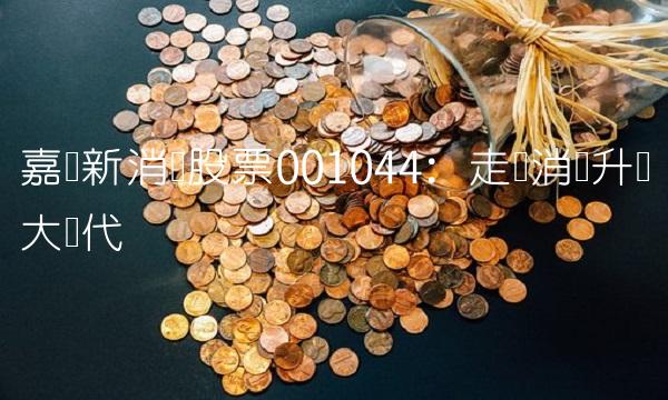 嘉实新消费股票001044：走进消费升级大时代