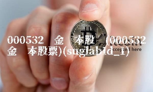 000532华金资本股吧(000532华金资本股票)(suglabId_1)