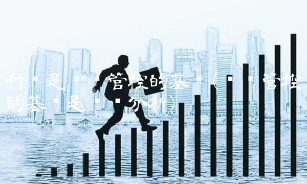 什么是风险管控的基础(风险管控的基础是风险分析)