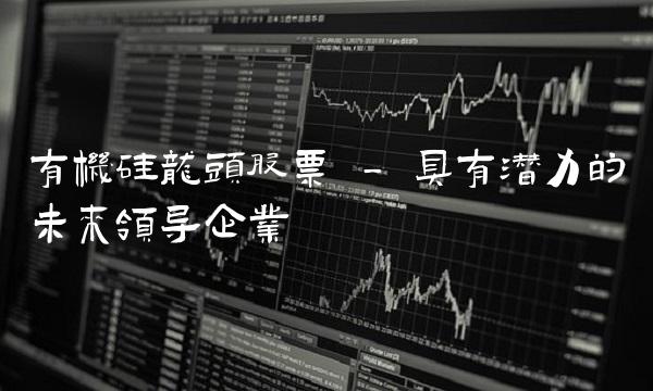 有机硅龙头股票 - 具有潜力的未来领导企业