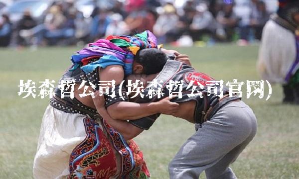 埃森哲公司(埃森哲公司官网)