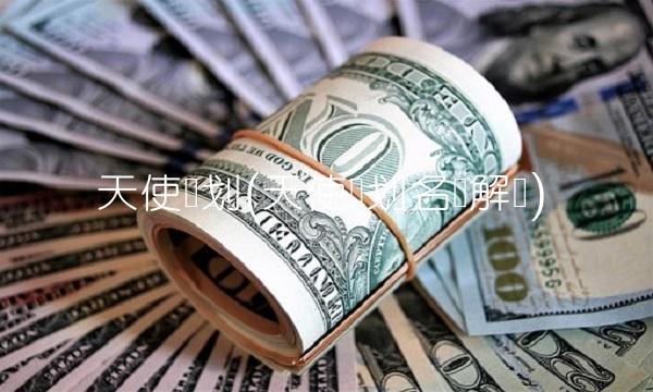 天使计划(天使计划名词解释)