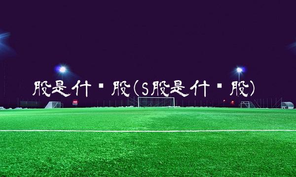 股是什么股(S股是什么股)