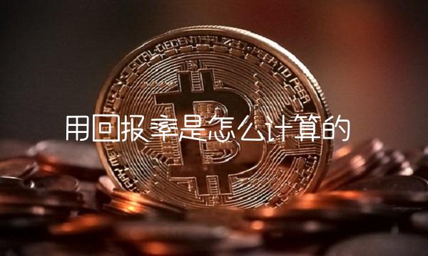 用回报率是怎么计算的