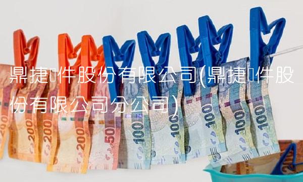 鼎捷软件股份有限公司(鼎捷软件股份有限公司分公司)