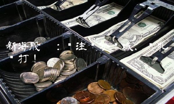 新海股份：专注细分领域，稳扎稳打！
