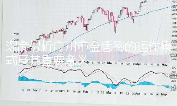 深度分析广州市金盾网的运作模式及其重要意义