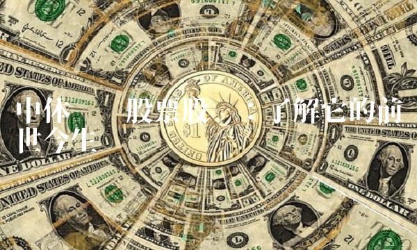 中体产业股票股吧：了解它的前世今生