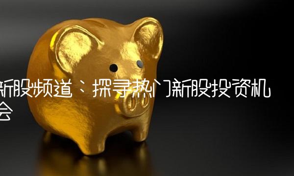 新股频道：探寻热门新股投资机会