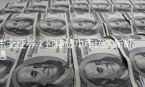 东北证券：迎接资本市场的新机遇