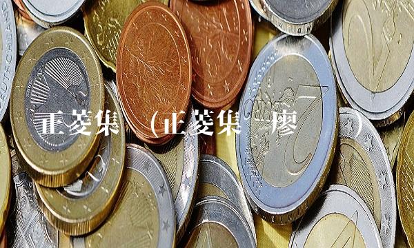 正菱集团(正菱集团廖荣纳)