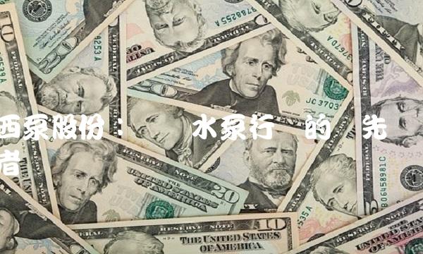 西泵股份：国产水泵行业的领先者