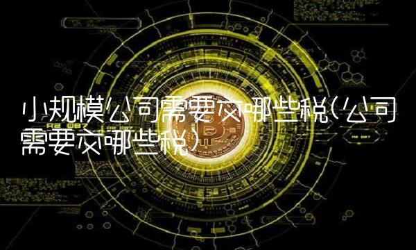 小规模公司需要交哪些税(公司需要交哪些税)
