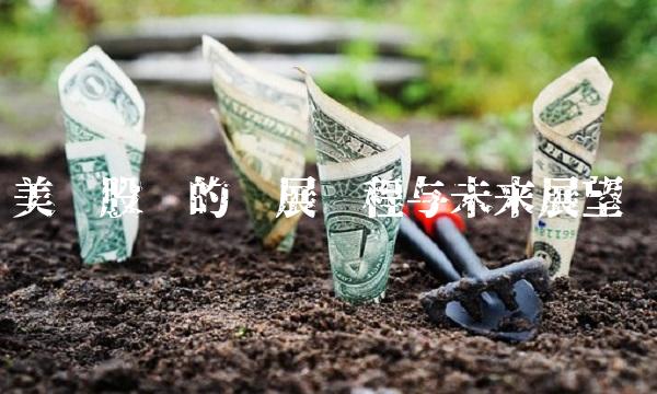 美亚股份的发展历程与未来展望
