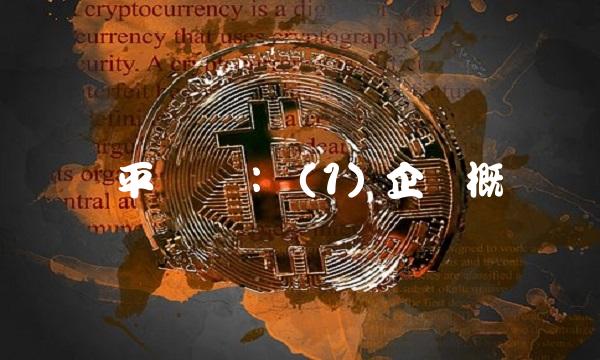 罗平锌电：（1）企业概况