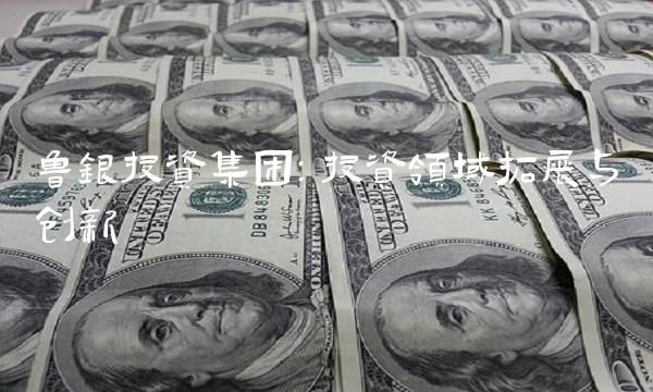 鲁银投资集团：投资领域拓展与创新