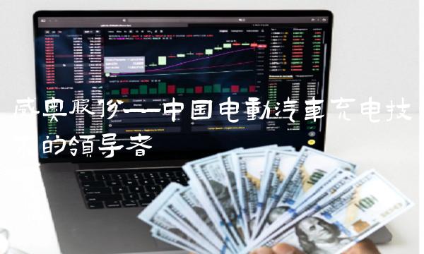 威奥股份——中国电动汽车充电技术的领导者