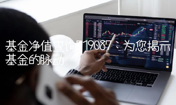基金净值查询519087：为您揭示基金的脉动