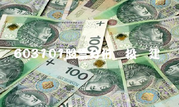 603101股票分析与投资建议