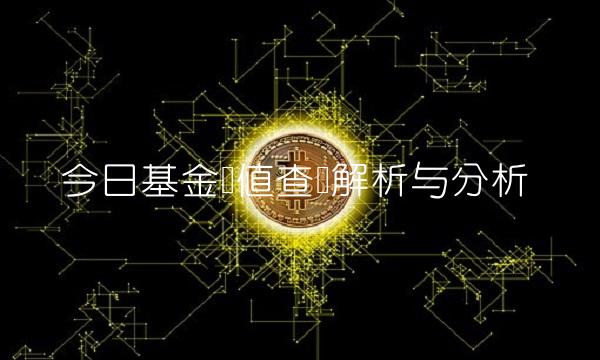 今日基金净值查询解析与分析