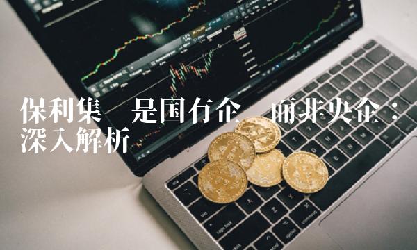 保利集团是国有企业而非央企：深入解析
