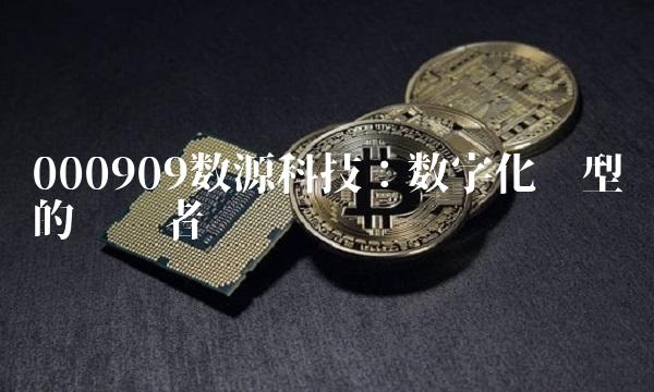 000909数源科技：数字化转型的开创者